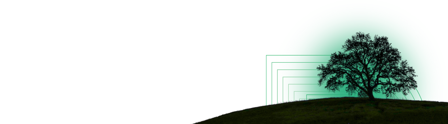 Digico Solutions - Where Vision Meets Innovation