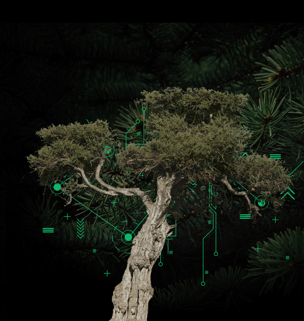 Sustainability and technology visualization